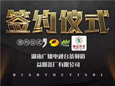 湘益茯，美茗揚(yáng) 丨湘益茯茶與茶頻道達(dá)成長(zhǎng)期戰(zhàn)略合作