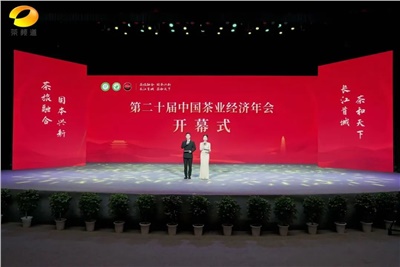 【聚焦第二十屆中國茶業(yè)經濟年會】益陽茶廠榮獲“民族團結互助企業(yè)”、“2024年度茶業(yè)重點企業(yè)”榮譽稱號